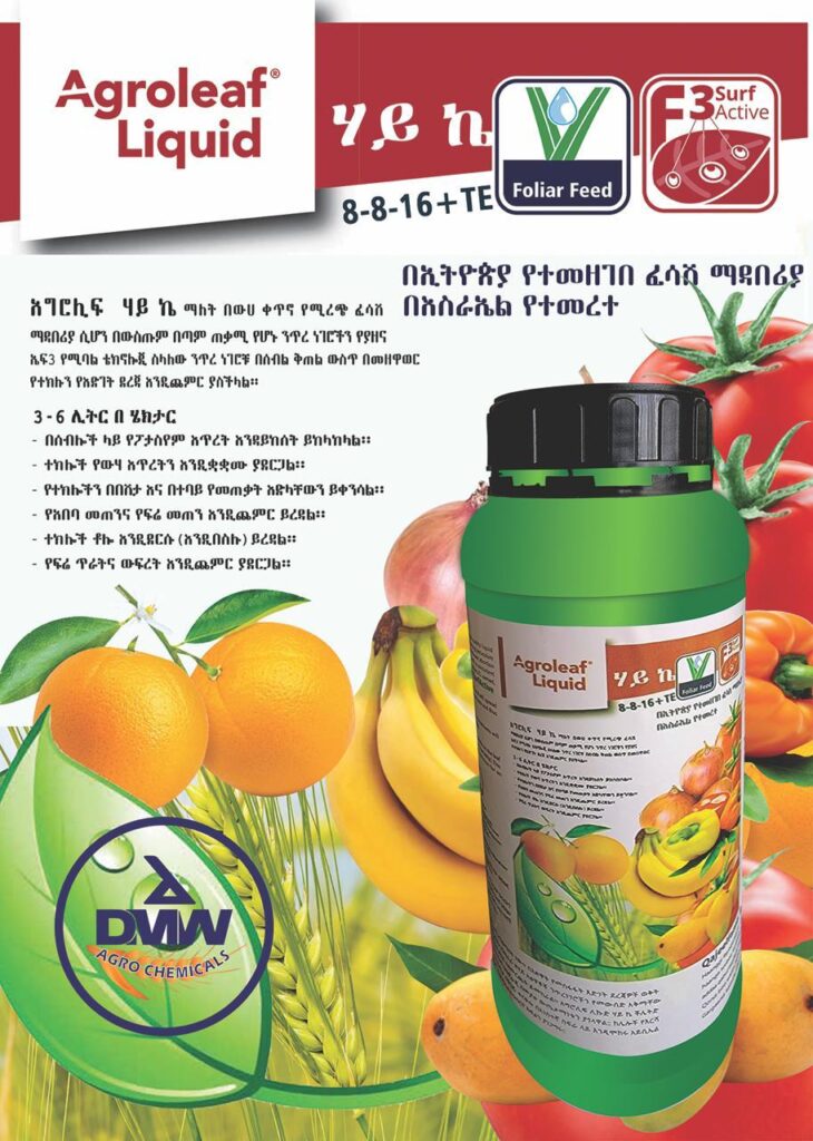 WhatsApp Image 2026-01-09 at 16.48.46