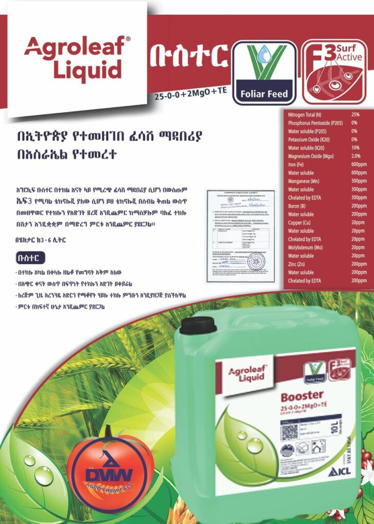 WhatsApp Image 2026-01-09 at 16.48.47 (1)