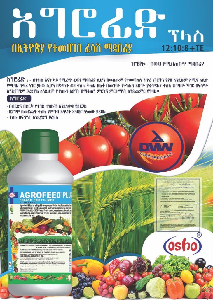 WhatsApp Image 2026-01-09 at 16.48.47 (2)