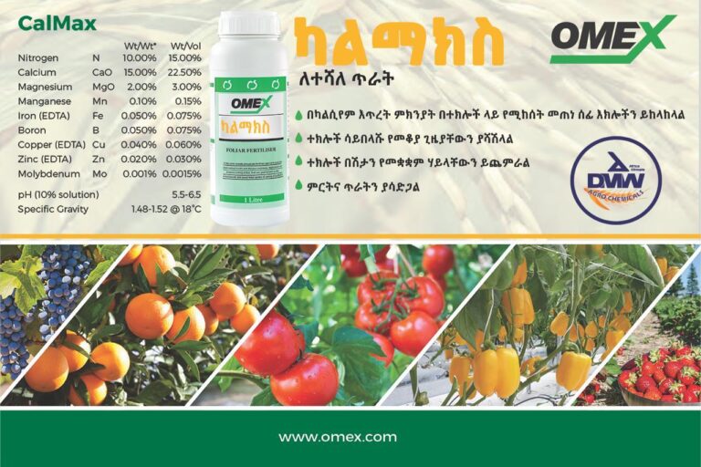 WhatsApp Image 2026-01-09 at 16.48.48 (1)