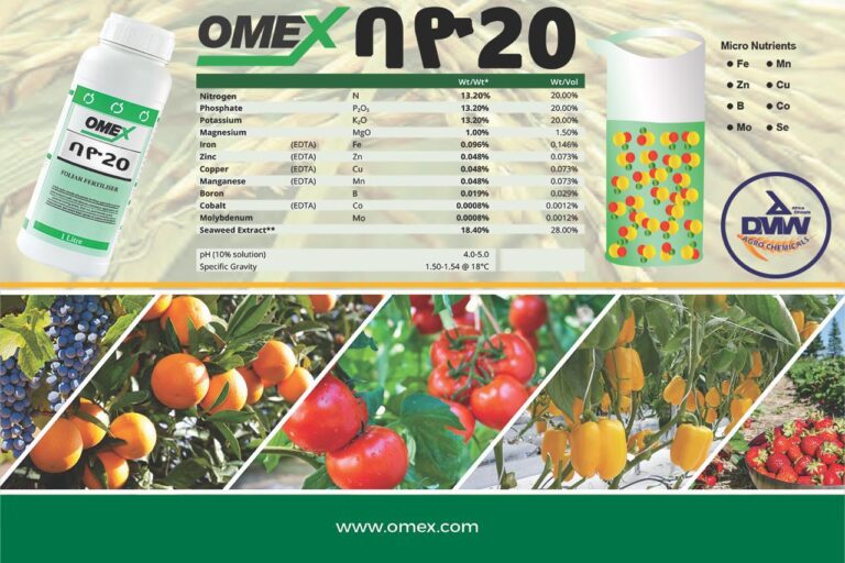 WhatsApp Image 2026-01-09 at 16.48.48