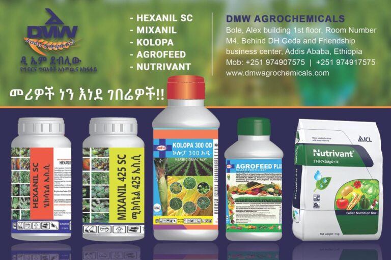 WhatsApp Image 2026-01-09 at 16.48.49 (1)