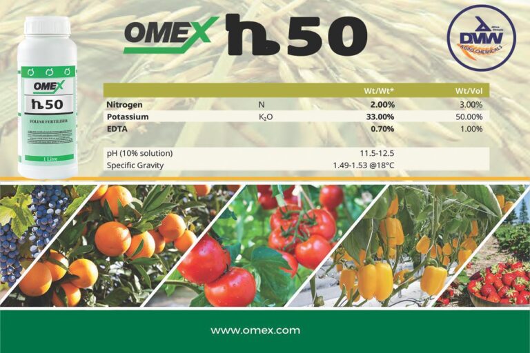 WhatsApp Image 2026-01-09 at 16.48.49